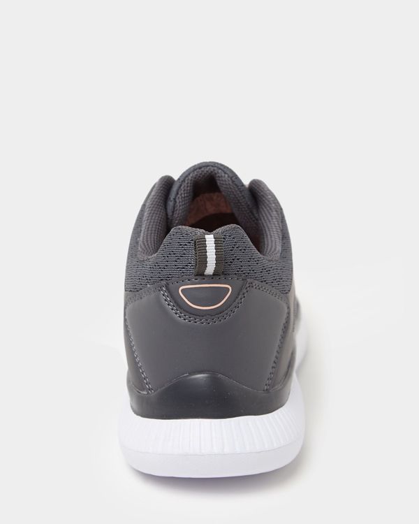 Mesh Trainer